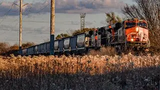 CN 2282 leads CN G889 through Glendale Heights, IL on 11/19/2024