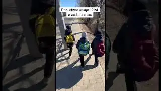 но сеткой не попал правда #shorts #dota2 #мем #дота2 #memes #dotawtf #юмор