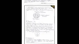#Bacteria (Notes) B.Sc part 1