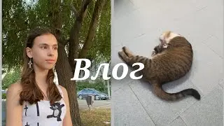 влог, моего дня😊. тг. https://t.me/ChupaChups542