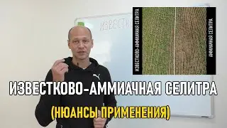 Известково-аммиачная селитра (результаты эксперимента)