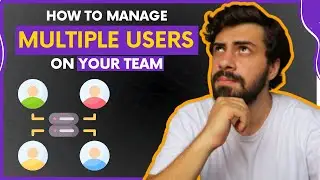 How to Manage Your Team with Multiple Users Roles