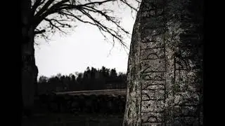 Bleed the Stones