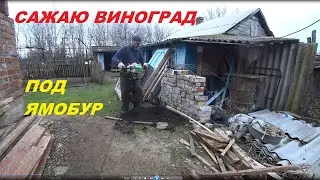 55. КУПИЛИ УСАДЬБУ, ВОССТАНАВЛИВАЕМ! Готовлю кирпич, сажаю виноград.