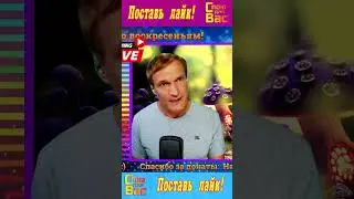 Музыкальный стрим  