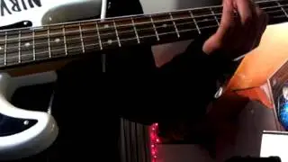 Alone, Together -The Strokes Bass Cover