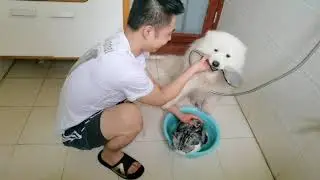 狗仔：日防夜防人类最难防！