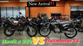The Trailmaster T5 Dirt Bike: Pushing the Limits of Off-Road Performance!!