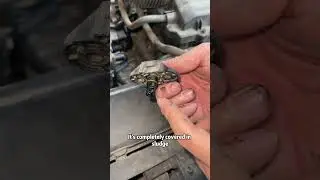 How to solve the problem of black smoke from car exhaust?