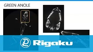 Rigaku Webinar: X-ray Computed Tomography for Materials & Life Science 7: Life Science Applications
