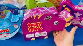 Reveal of The Zoo Box