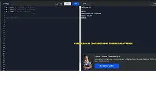 Python For Data Engineering - Variables