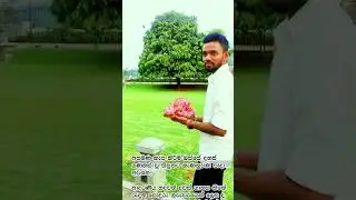 All the best මගේ නංගීලා මල්ලිලා.😍😍 හොදටම කරමු අපි. 💪💪
