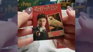 Harry Potter: Hedwig Owl Kit and Sticker Book / Сова Букля Хедвиг и набор наклеек