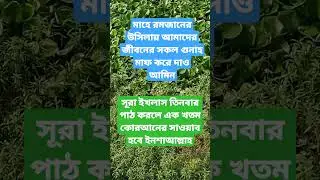 সূরা#ইখলাস#তিনবার#পাঠ#করলে#এক#খতম#কোরআনের#সাওয়াব#হবে#ইনশাআল্লাহ#tg#village