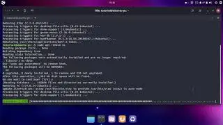 Linux CLI - online installing Ubuntu APPs with apt-get (apt)