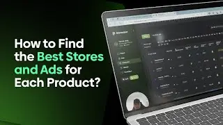 How to find the best stores and ads for each product using Adnosaur