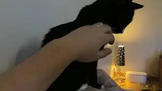 Jallu 1