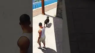 How Much Does Franklin Chop Poop in GTA 5