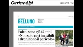 DAL 1983 LA RASSEGNA STAMPA LOCALE di mirko mezzacasa. L'ORIGINALE