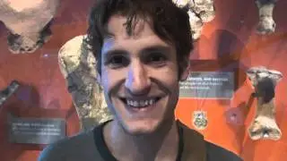 The Dinosaurs Cometh! Part 2