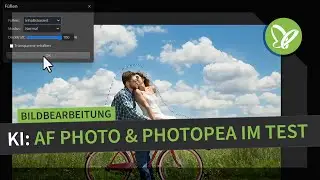 Störende Objekte adé mit KI: Affinity Photo & Photopea im Test