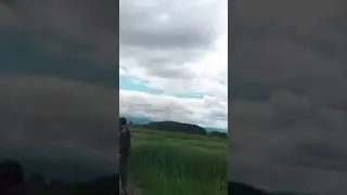 Такова вы ещё не видели