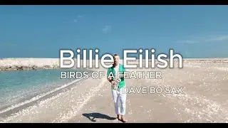 Billie Eilish - Birds of a Feather Saxophone Cover by Dave Bo
