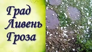 Град в Барнауле на даче