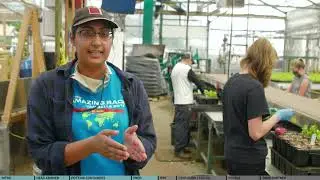 Inside Van Belle Youngplants: Full Tour