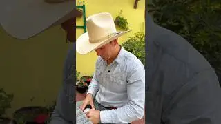 #Quesadillas