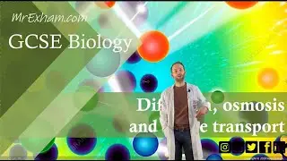 Diffusion, Osmosis and Active Transport - GCSE Biology (9-1) 1.15