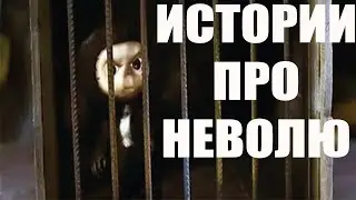 Самый смешной АНЕКДОТ ТЮРЕМНЫЕ ИСТОРИИ