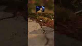 Funny flash.