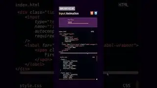 input animation in css 