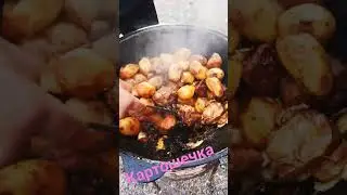Картошка,,,День Рождения 🎉🎉🎉 #short #reels #картошкафри