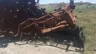 Железный цветок...