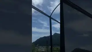 Гигантский одуванчик! Доброе видео без просмотров 😁