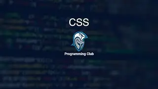 CSS