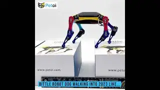 Unleash Joy in 2023 with Petoi Bittle: Open Source Robot Dog & Programmable STEM Kit