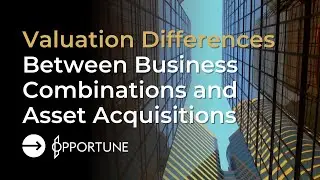Valuation Differences Between Business Combinations and Asset Acquisitions