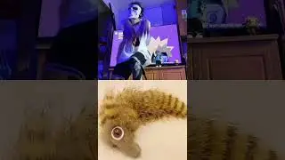 #мем