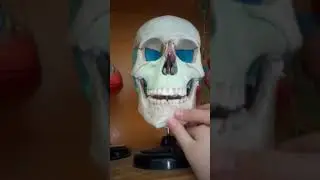 19 февраля 2019 г.