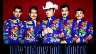 Los Tigres Del Norte Mix