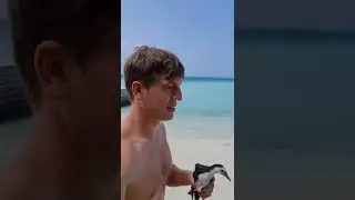 Щербаков поймал птицу на Мальдивах 