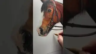 There are no rules when it comes to art! #bonnysnowdonacademy #horsedrawing #learntodraw #equineart