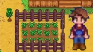 I become a farmer Stardew Valley