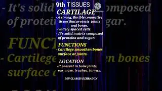 9th CARTILAGE TISSUES