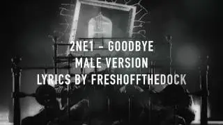 Goodbye (안녕) - 2NE1 (Cover)