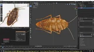 texturing with projection paint a coackcroach in blender 2.8